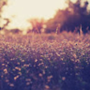 Meet your Posher, 226